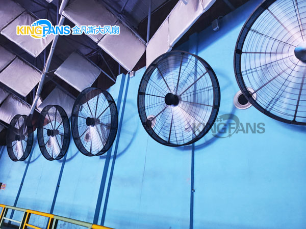 從悶熱到清涼:金凡斯大尺寸工業(yè)璧扇點(diǎn)亮海洋公園觀豚體驗(yàn) 從悶熱到清涼:金凡斯大尺寸工業(yè)璧扇點(diǎn)亮海洋公園觀豚體驗(yàn)